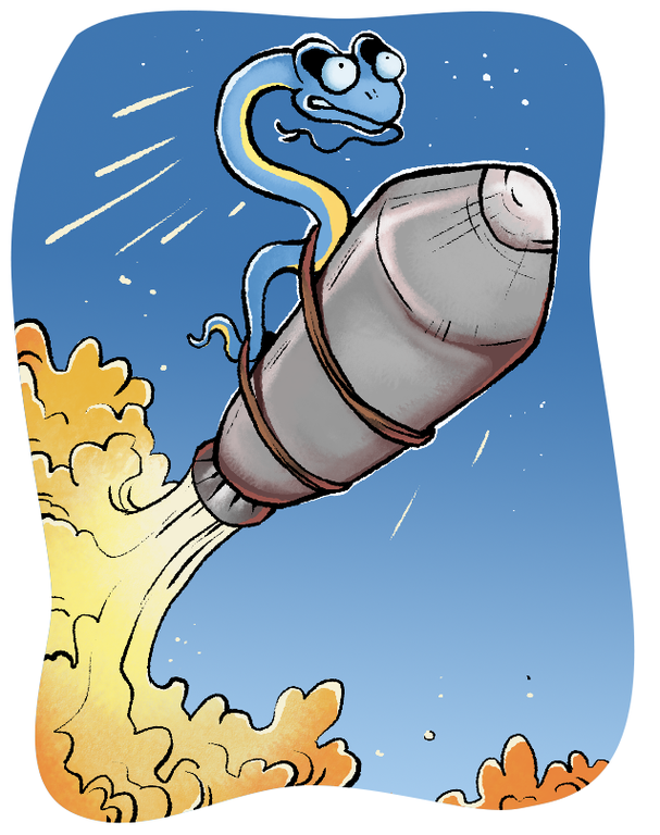 python strapped to a rocket